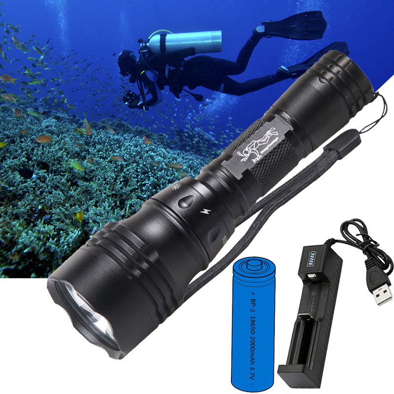 Diving Lamp Portable 10W T6 L2 - đánh giá và giá Fish Finder Charger